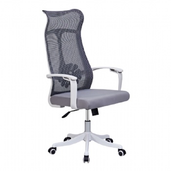 Ergonomics home office chair